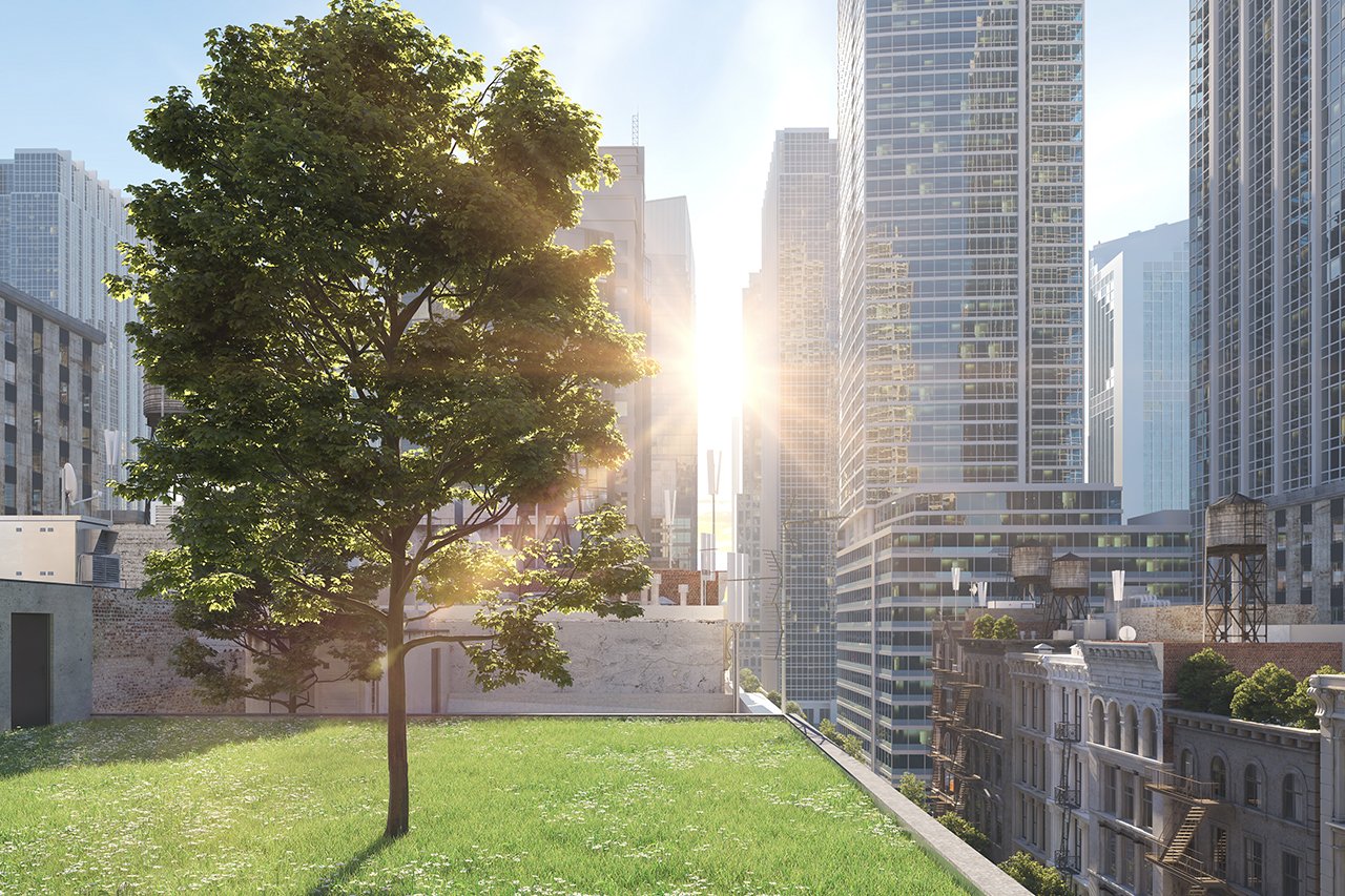 Battling Climate Change, One Green Roof at a Time